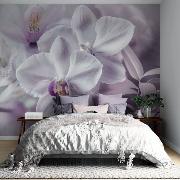 Tapet Flori delicate de orhidee albe și liliachii, iluminare blândă și un fundal cu textură neclară , Fototapet Flori, w09155 : Uwalls.ro