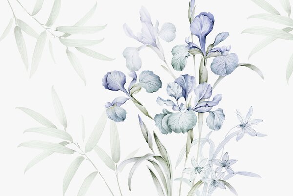 Tapet Iriși delicate imitație de acuarelă, Fototapet Flori, w03955 : Uwalls.ro