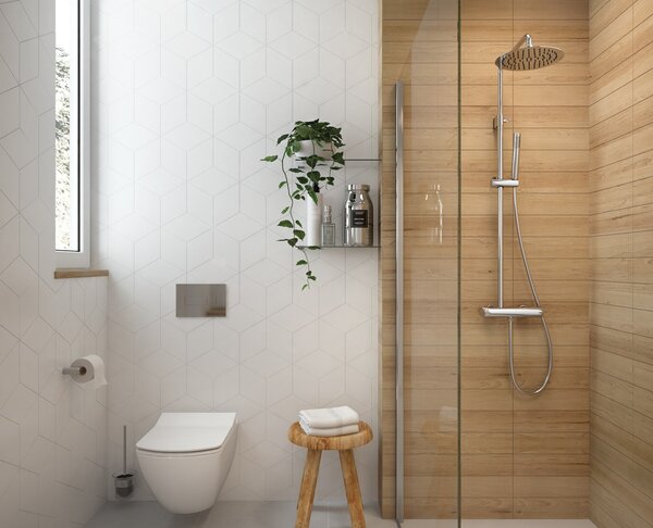 Deante Anemon vas wc cu capac soft-close agăţat fără margine alb CDZD6ZPW