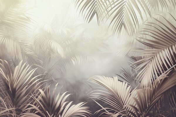 Tapet junglă tropicală cu o nuanță neutră, Fototapet Natură, Fototapet Foi de palmier, w04142v1 : Uwalls.ro