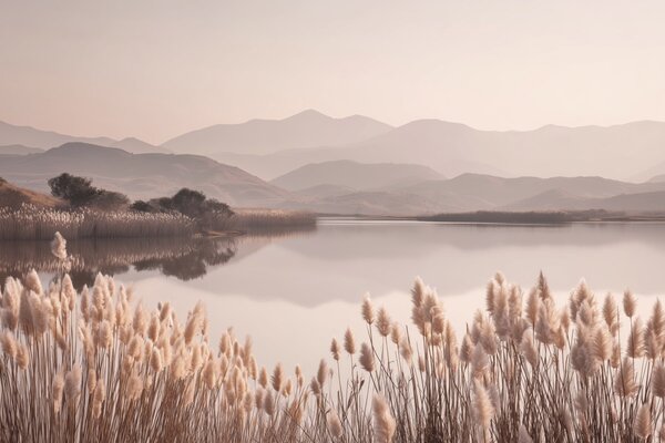 Tapet vedere la lacul cu stuf, Fototapet Natură, w04207 : Uwalls.ro
