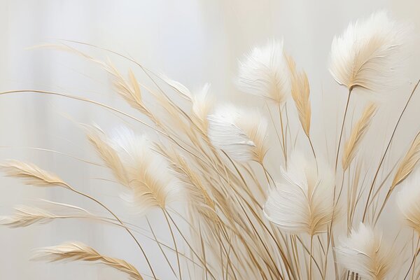 Tapet Pampas spikelets imitație pictură, Fototapet Natură, w04266 : Uwalls.ro