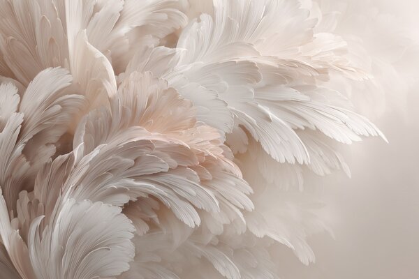 Tapet Pene și petale aerisite în nuanțe de roz crem, Fototapet Abstract, w09301 : Uwalls.ro