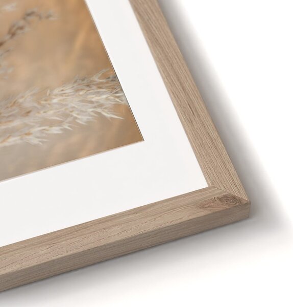 Tablouri 2 buc. 30x40 cm Selloana – Styler
