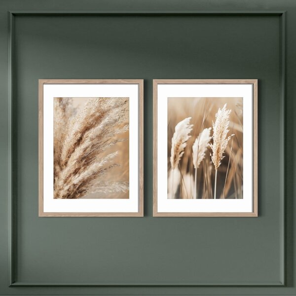 Tablouri 2 buc. 30x40 cm Selloana – Styler