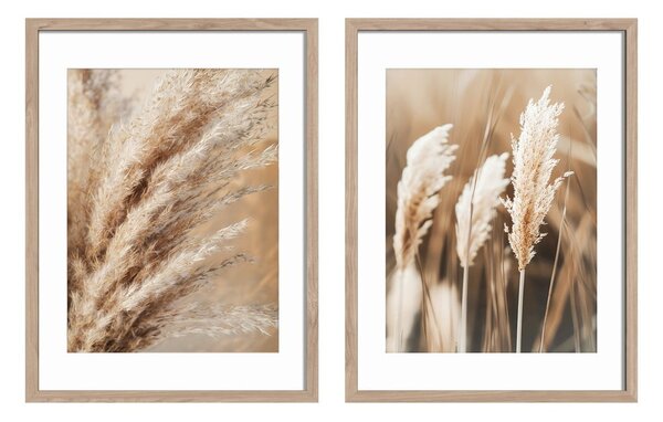 Tablouri 2 buc. 30x40 cm Selloana – Styler