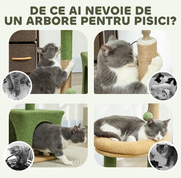 PawHut Ansamblu de Joacă pentru Pisici cu Căsuță, 2 Jucării cu Bilă și Pat Verde și Maro | Aosom Romania