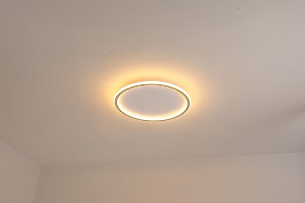 Abigali Modern plafon 1x36 W alb-auriu MD1803-R50-Y-G