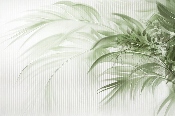 Tapet Palmier tropical frunze verzi cu un fundal cu dungi albe, iluminat moale, tușe, Fototapet Natură, Fototapet Frunze, w09343 : Uwalls.ro