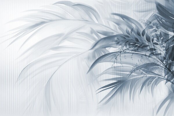 Tapet Palmier tropical frunze albastre cu un fundal alb cu dungi, iluminat moale, tușe, Fototapet Natură, Fototapet Frunze, w09343v1 : Uwalls.ro