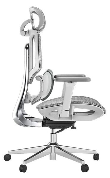 HBADA E3 AIR Scaun ergonomic, cu suport lombar dinamic pe 3 zone, tetieră reglabilă 3D, cotiere reglabile 6D, pivotant, Gri