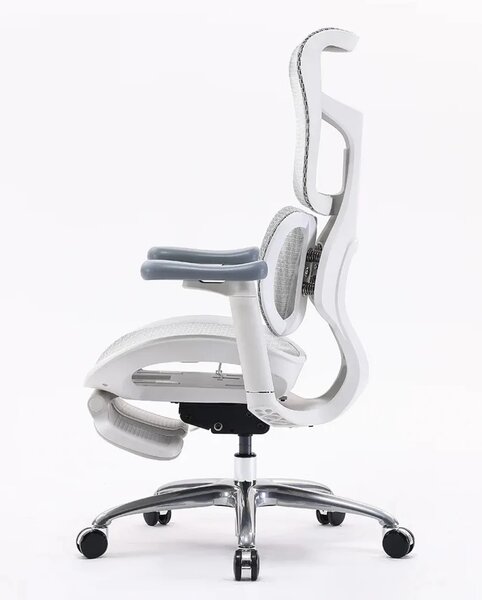 Scaun ergonomic SIHOO S100, cotiere 4D ultra moi, suport lombar adaptiv, spătar reglabil pe inaltime, sezut cu translatie, mecanism multifunctional inclinare/blocare, suport picioare, pivotant, Mesh, Gri