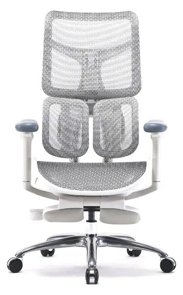 Scaun ergonomic SIHOO S100, cotiere 4D ultra moi, suport lombar adaptiv, spătar reglabil pe inaltime, sezut cu translatie, mecanism multifunctional inclinare/blocare, suport picioare, pivotant, Mesh, Gri
