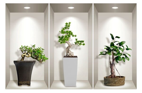Set 3 autocolante 3D pentru perete Ambiance Bonsai Plants
