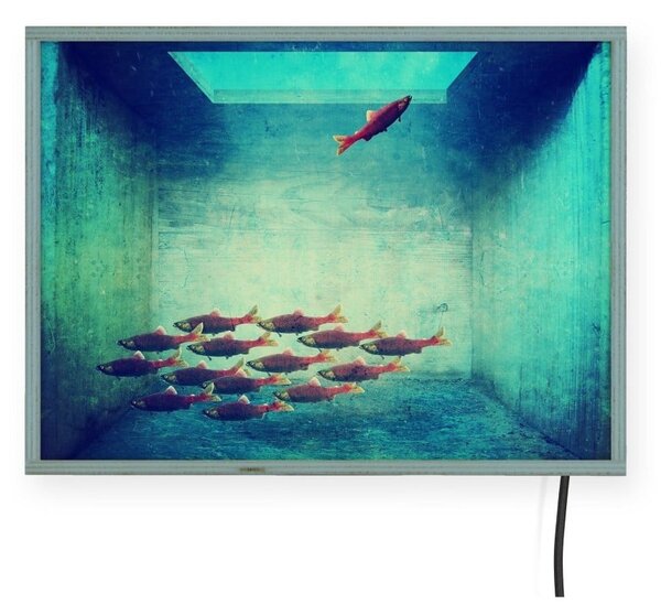 Decorațiune pentru perete cu lumini LED Surdic Free Fish, 40 x 30 cm