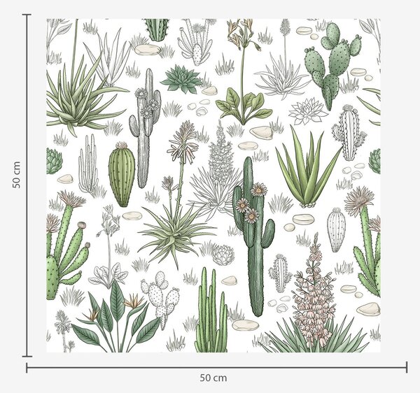 Tapet Cactuși și plante suculente pe un fundal deschis, stil liniar, Tapet flori, a00666v1 : Uwalls.ro