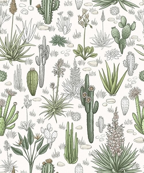 Tapet Cactuși și plante suculente pe un fundal deschis, stil liniar, Tapet flori, a00666v1 : Uwalls.ro