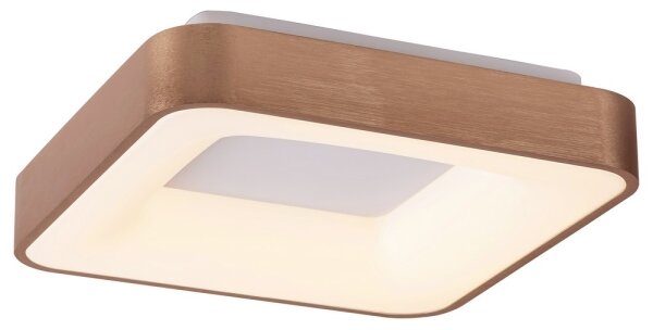 Rabalux 5056 - Plafonieră LED CARMELA LED/30W/230V