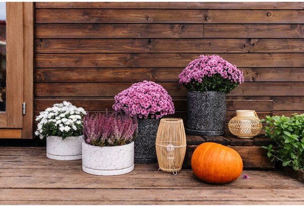 Set 2 ghivece gri închis Bonami Selection Terrazzo, ø 26 cm