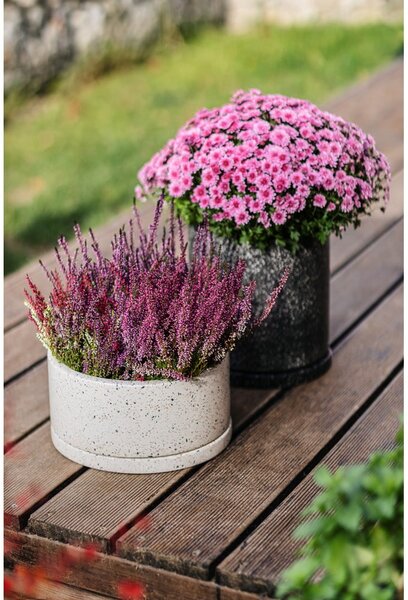 Set 2 ghivece gri închis Bonami Selection Terrazzo, ø 26 cm