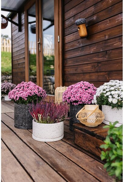 Set 2 ghivece gri închis Bonami Selection Terrazzo, ø 26 cm