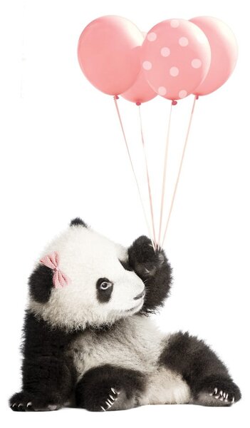 Autocolant pentru perete Dekornik Pink Panda