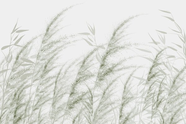Tapet Pampas și iarbă uscată, Fototapet Natură, w04863v2 : Uwalls.ro