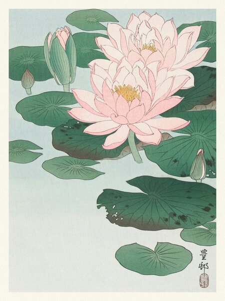 Artă imprimată Water Lily / Lotus (Japandi Vintage) - Ohara Koson, (30 x 40 cm)
