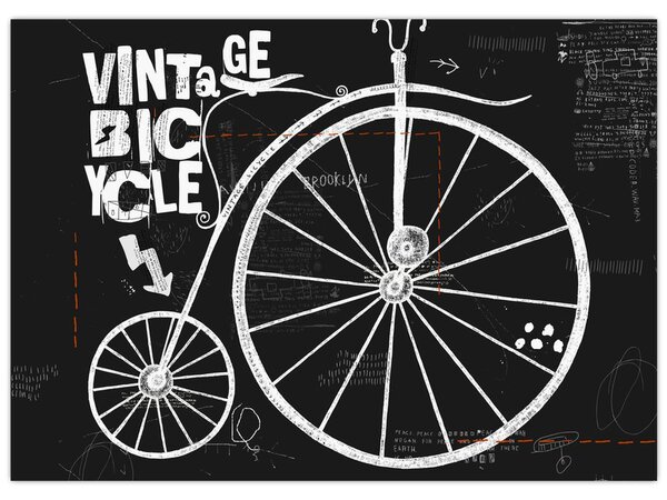 Tablou - Velociped (70x50 cm)