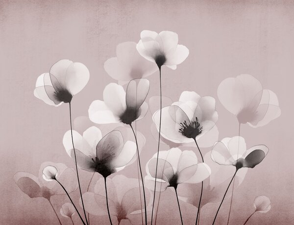 Fototapet Buchet de flori albe, Fototapet flori, Fototapet populare, t00821v2 - Tapeko.ro