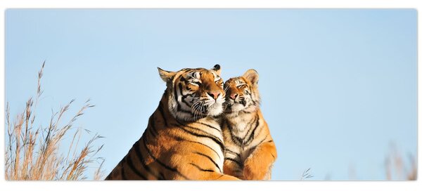 Tablou - Tigroaica cu pui (120x50 cm)