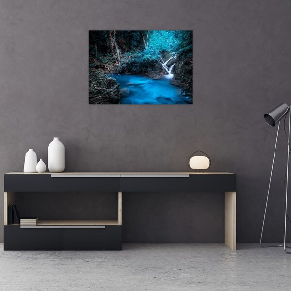 Tablou - Noaptea magică în pădurea tropicală (70x50 cm)