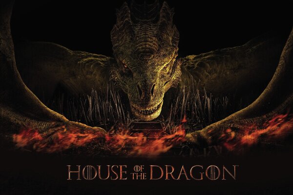 Poster de artă House of the Dragon - Dragon's fire, (40 x 26.7 cm)
