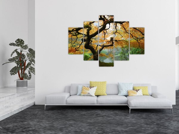 Tablou - Arțarul japonez galben, Portland, Oregon (150x105 cm)