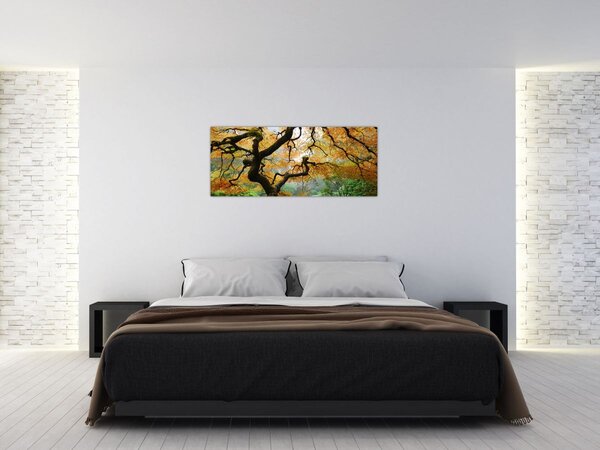 Tablou - Arțarul japonez galben, Portland, Oregon (120x50 cm)