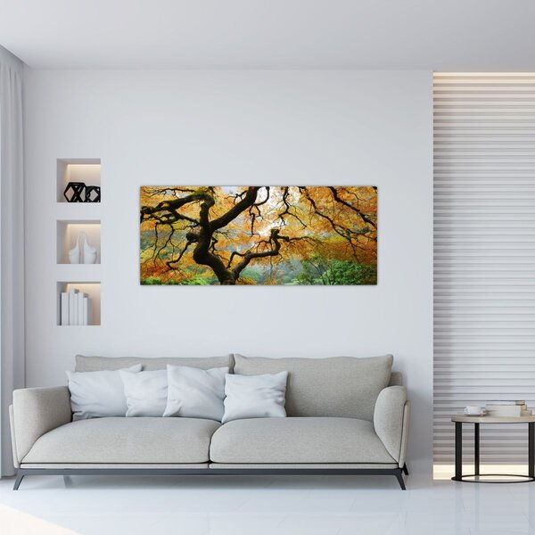 Tablou - Arțarul japonez galben, Portland, Oregon (120x50 cm)