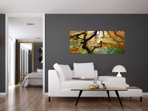 Tablou - Arțarul japonez galben, Portland, Oregon (120x50 cm)