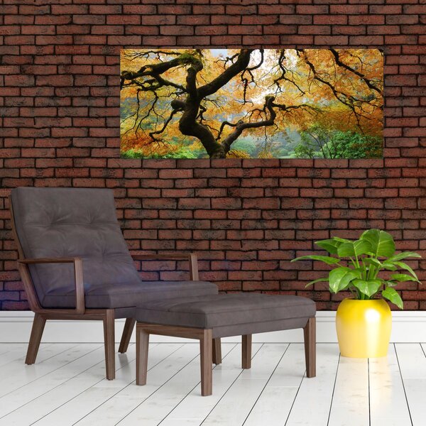 Tablou - Arțarul japonez galben, Portland, Oregon (120x50 cm)