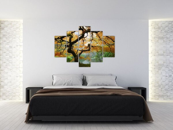 Tablou - Arțarul japonez galben, Portland, Oregon (150x105 cm)