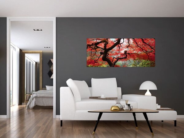 Tablou - Arțarul japonez roșu, Portland, Oregon (120x50 cm)