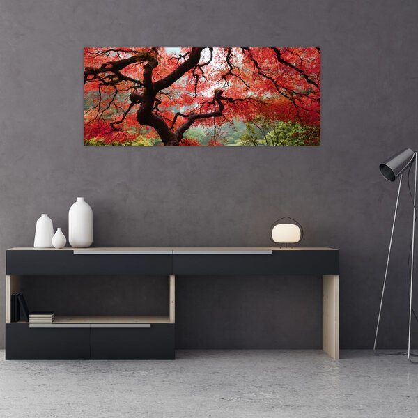 Tablou - Arțarul japonez roșu, Portland, Oregon (120x50 cm)