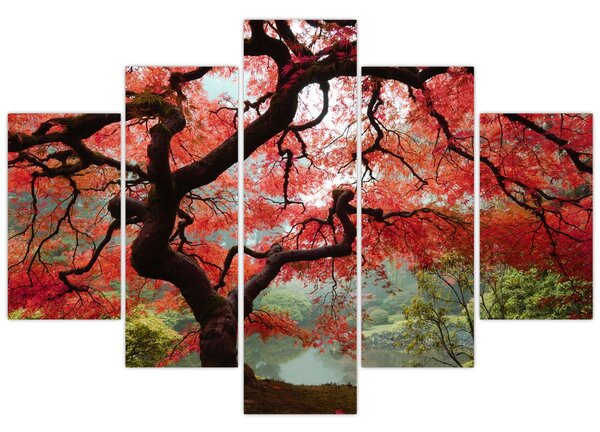 Tablou - Arțarul japonez roșu, Portland, Oregon (150x105 cm)