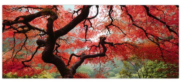 Tablou - Arțarul japonez roșu, Portland, Oregon (120x50 cm)