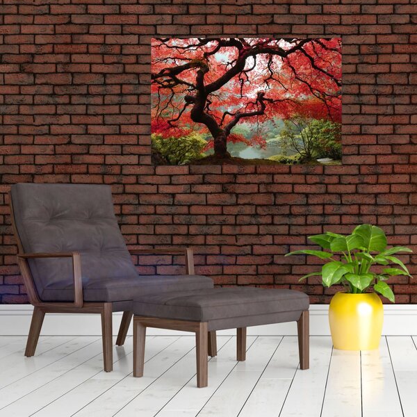 Tablou - Arțarul japonez roșu, Portland, Oregon (90x60 cm)