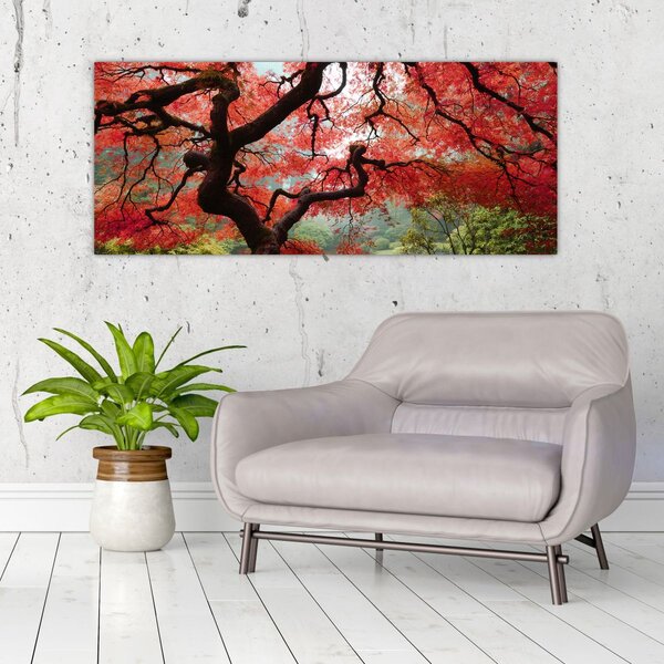 Tablou - Arțarul japonez roșu, Portland, Oregon (120x50 cm)