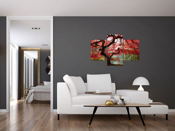 Tablou - Arțarul japonez roșu, Portland, Oregon (90x60 cm)
