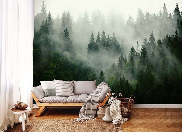 Fototapet cu o pădure în ceaţă - 13026 - Fototapet24