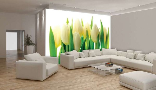 Tapet mural pentru sufragerie, buchet de lalele - 894 - Fototapet24