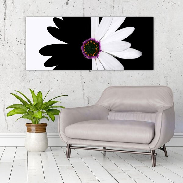 Tablou - Floare, alb- negru (120x50 cm)