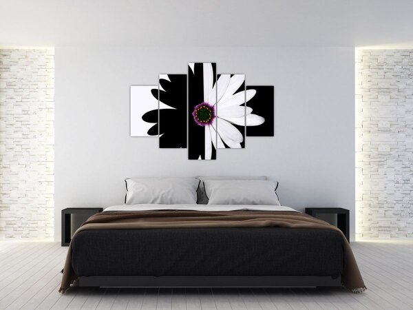 Tablou - Floare, alb- negru (150x105 cm)